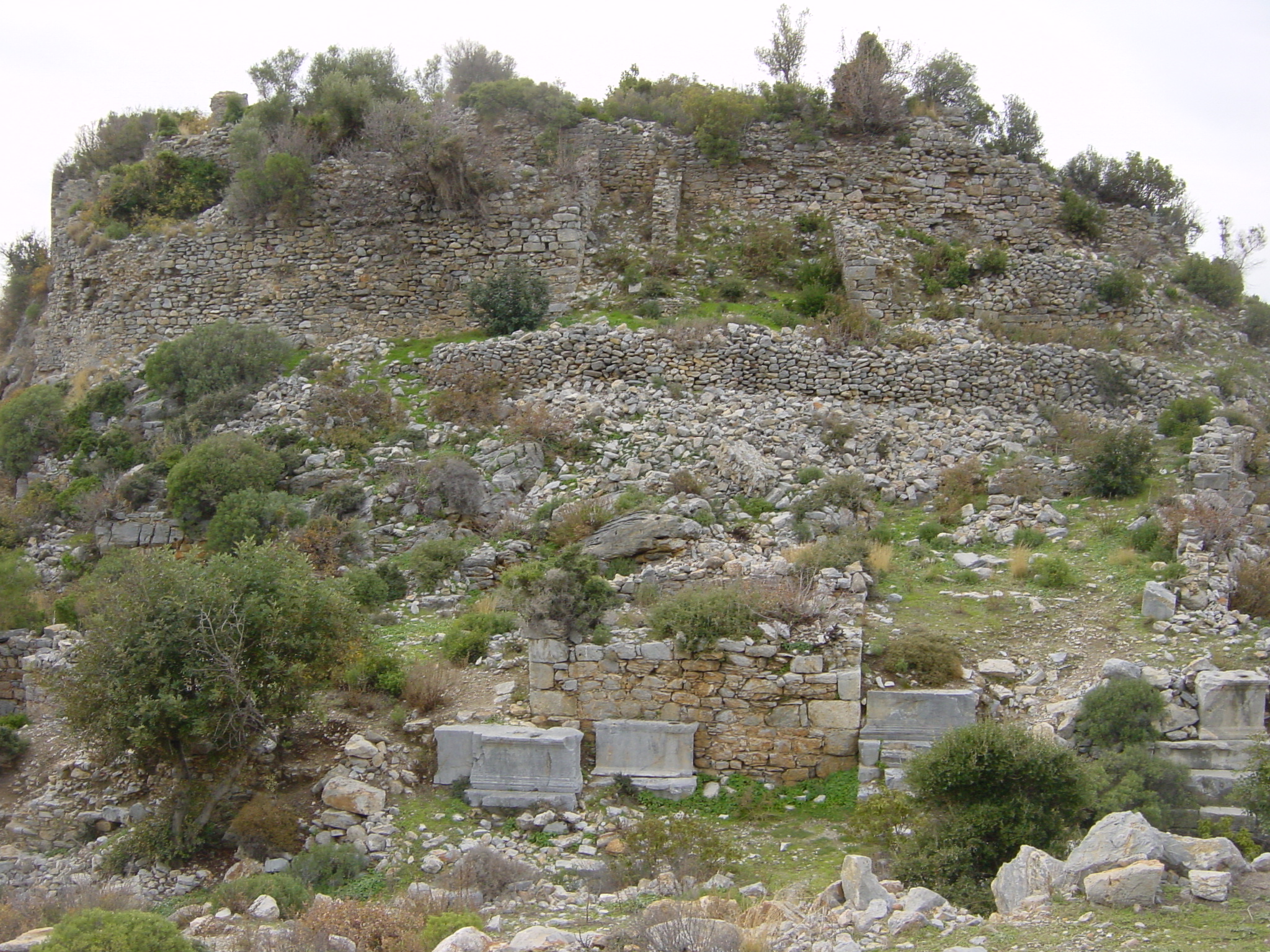 the ruins of the house were all surrounded by vegetation