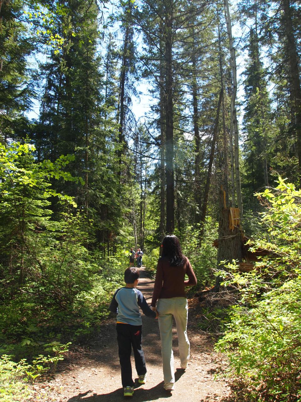 a person that is walking with a  on a path