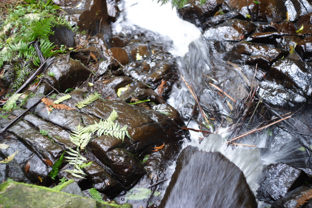 a stream flows into the ground surrounded by rocks