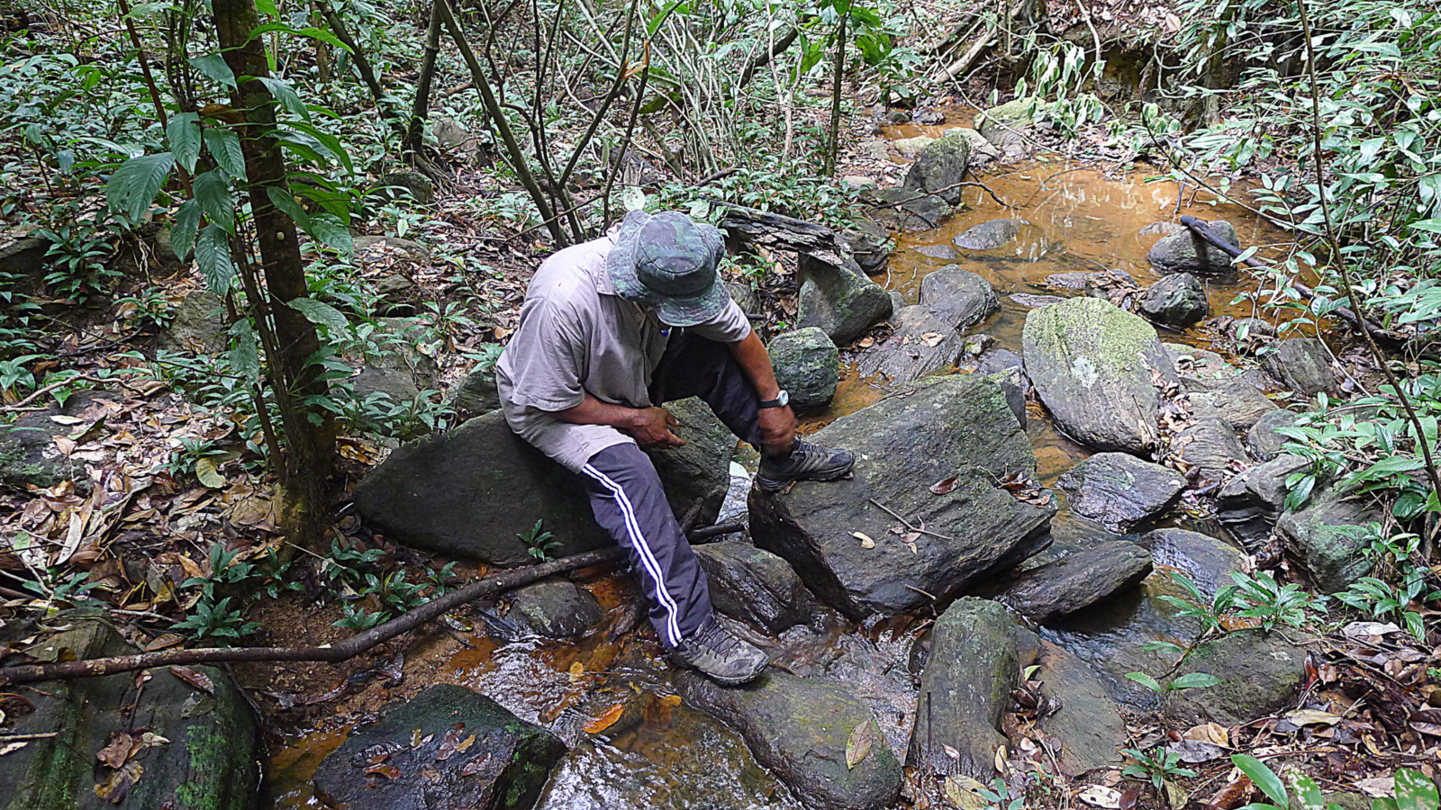 a man kneeling on a rock near trees