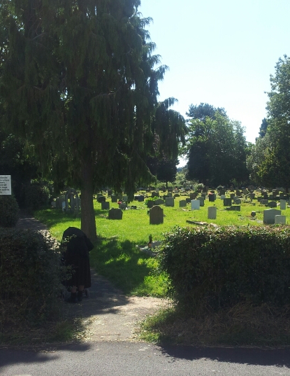 cemetery, with headstones on each side and trees