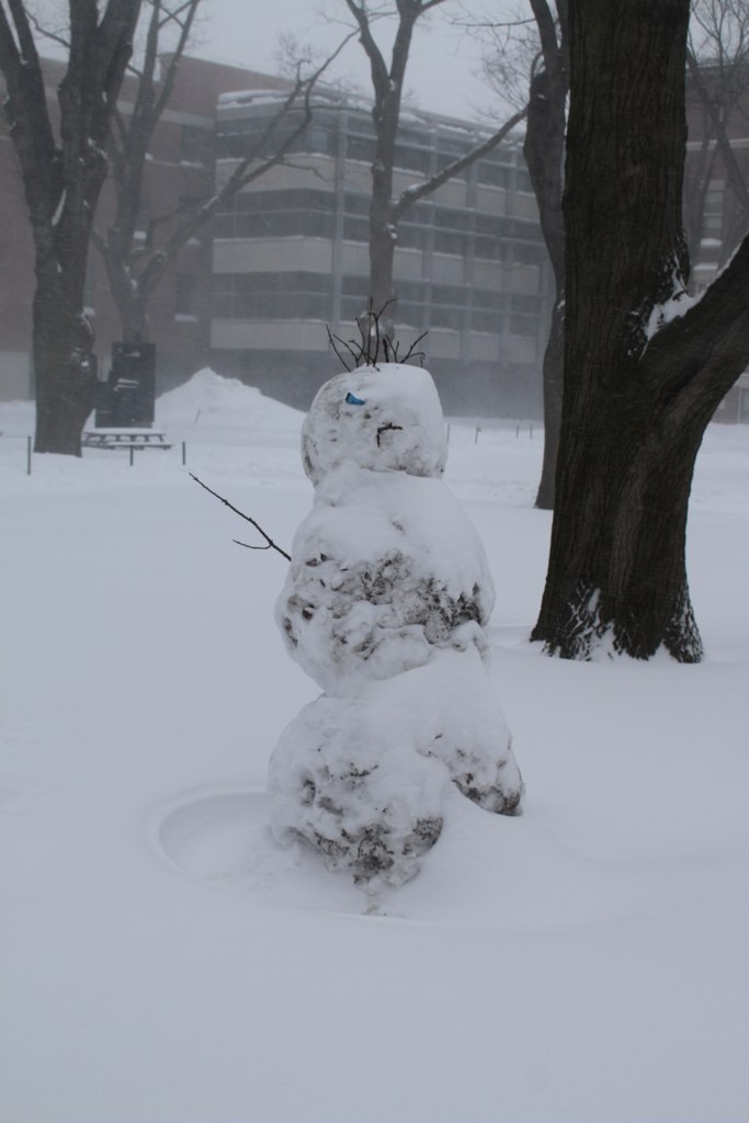 a snowman is sitting in the middle of a park