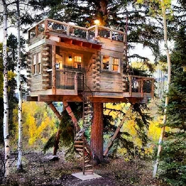 a treehouse that is surrounded by some trees