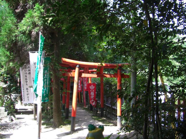 a large arch of colorful ribbons hangs over a walkway in a lush green forest