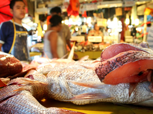 a fish is on a tray at the market