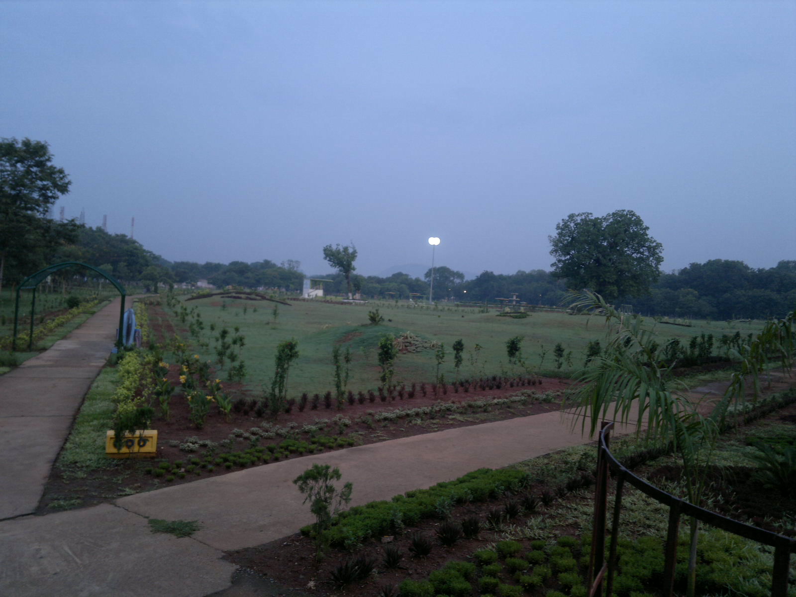 a road next to a field and trees