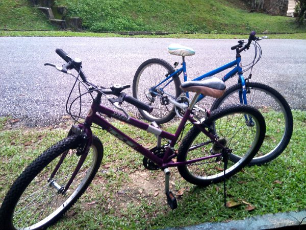 two bicycles parked in front of a residential road
