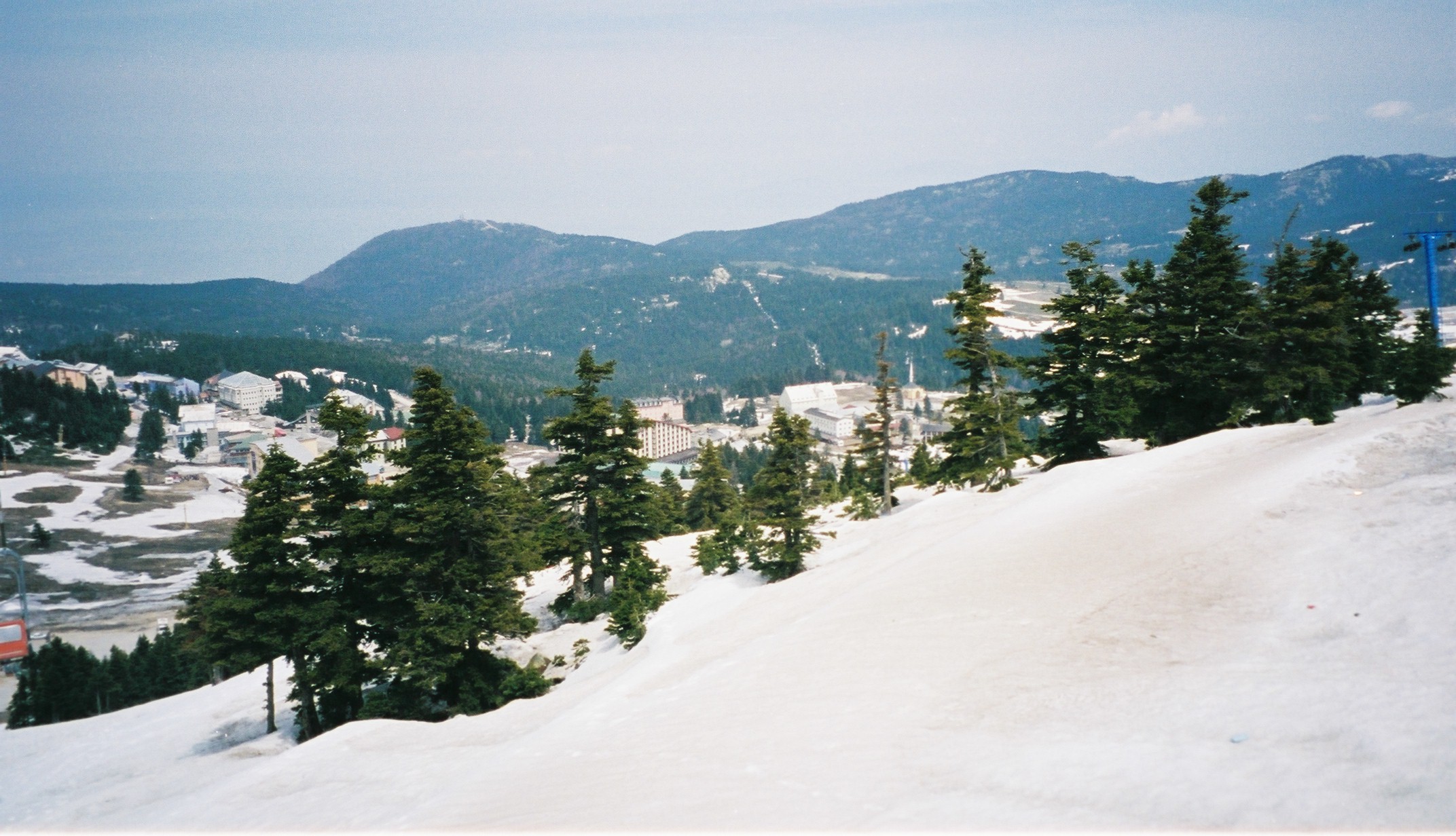 there are many trees on the slopes as well