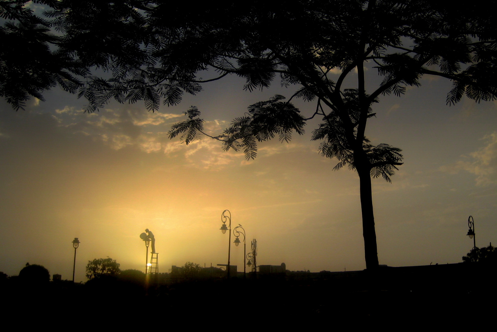 a sunset view with some tree and street lights in the foreground