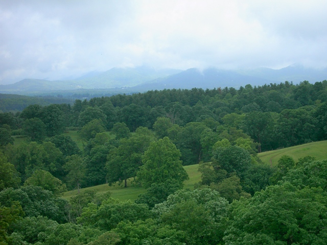 the trees and the mountains are lush green