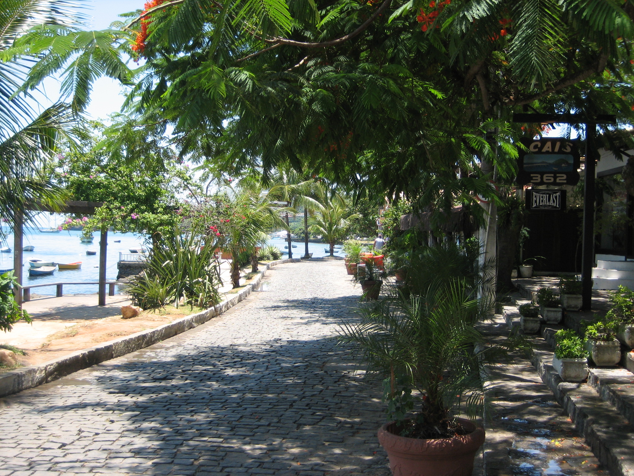 the sidewalk has several potted plants by the water