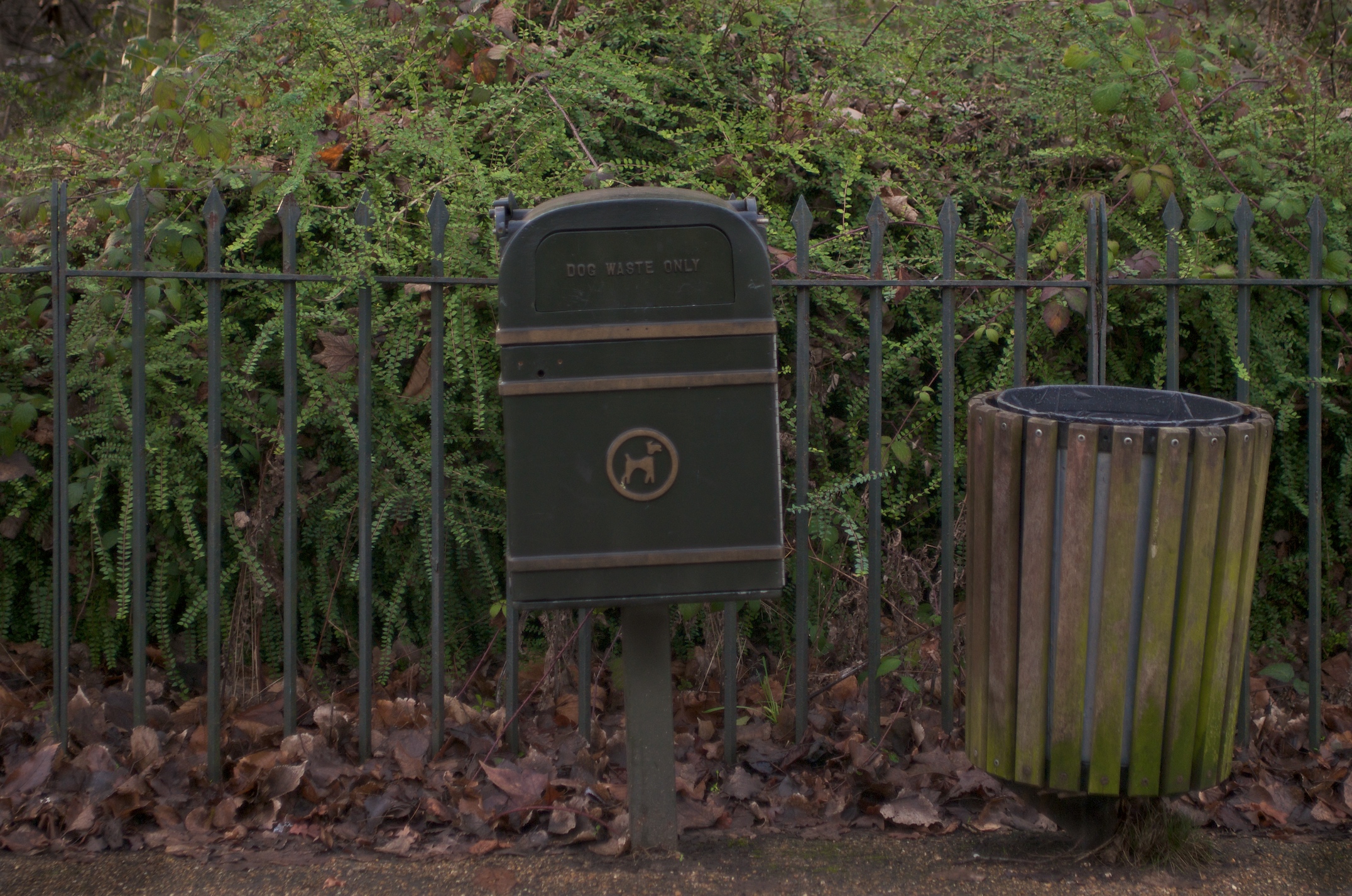 a mail box next to a fence with leaves around it