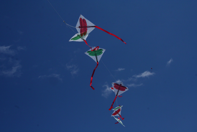 two red, green, and white kites flying in the air