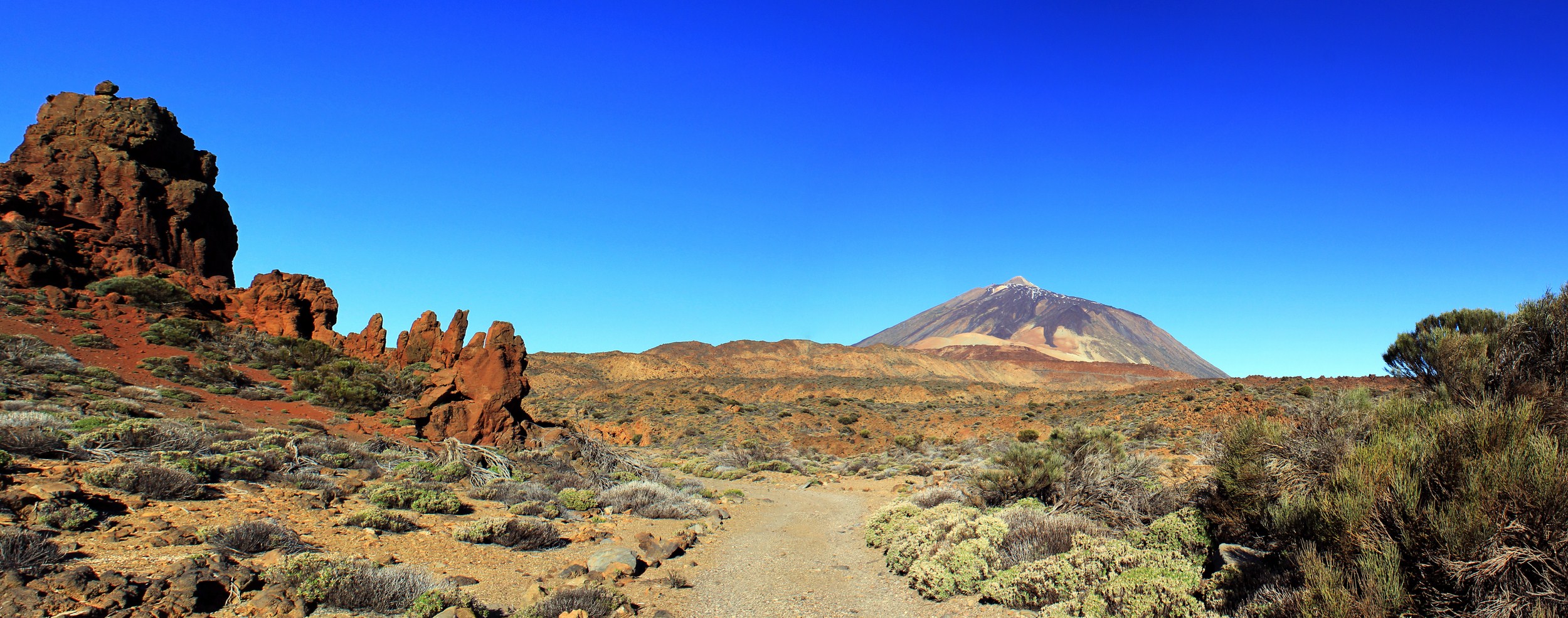 two people walking along a dirt path through some brush