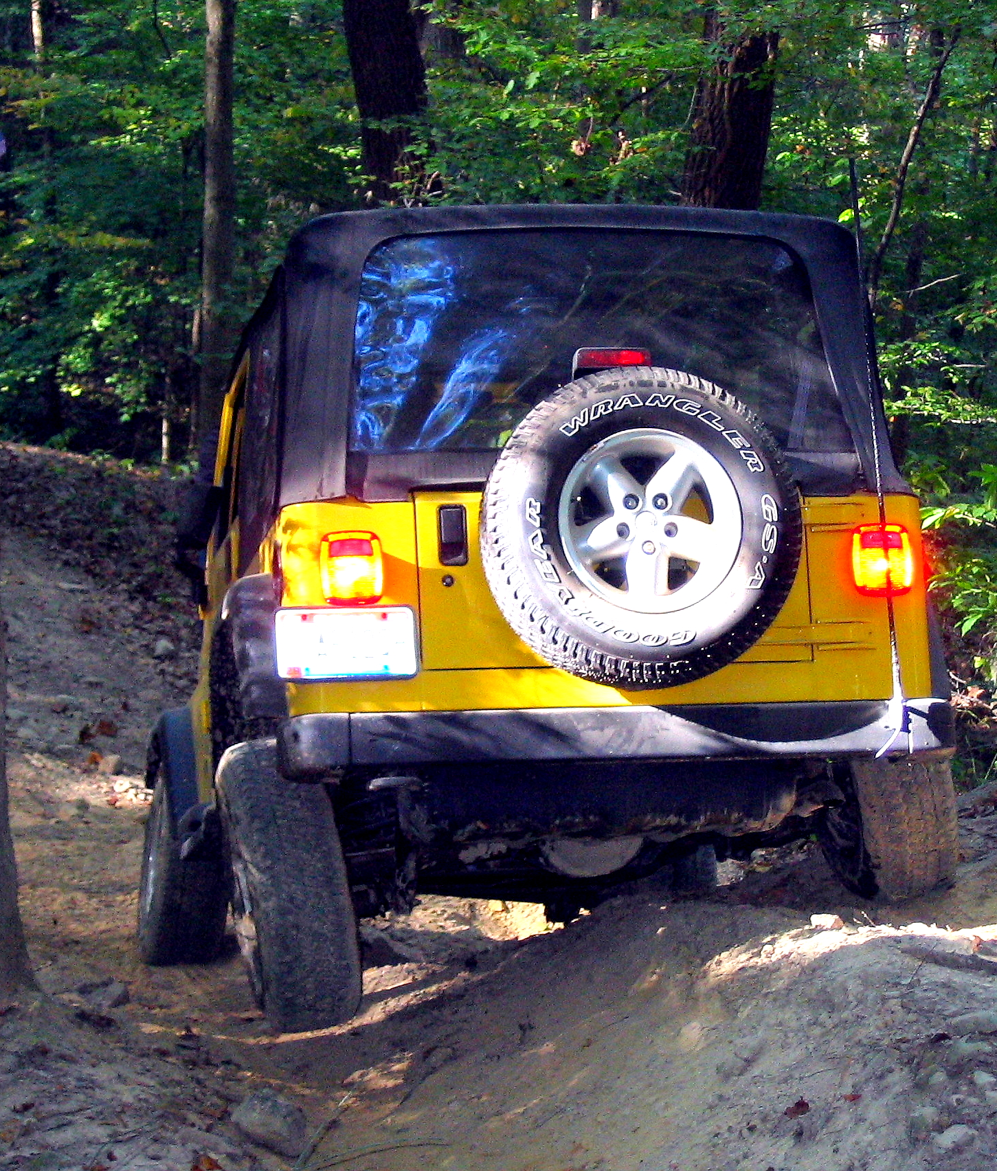 a jeep with a tire cover sits in the middle of the woods