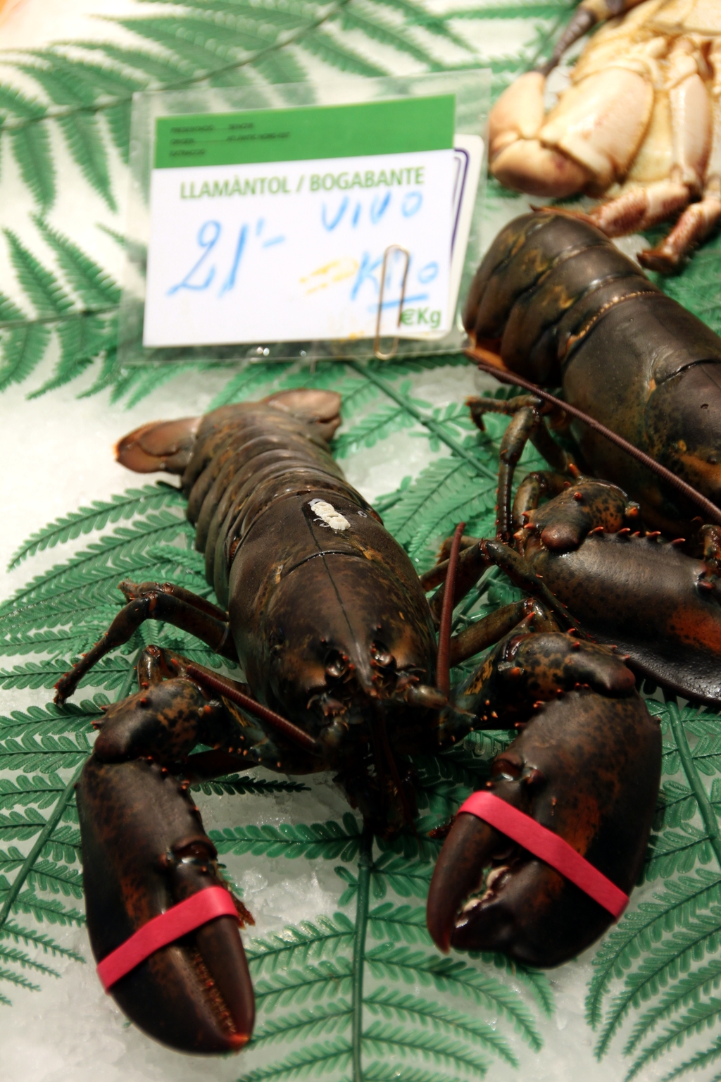 several crays laying on a green surface with some red tape around them