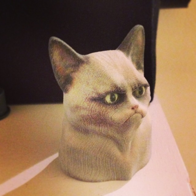 a very cute looking cat sitting on a desk