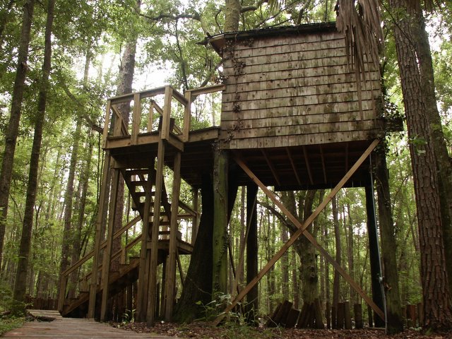 this is an elevated treehouse with wooden stairs