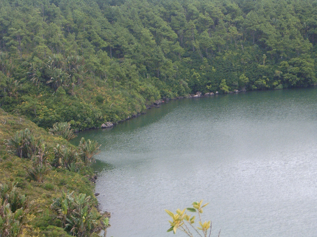 a large lake surrounded by trees in a forest