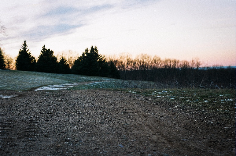 a dirty road with trees and a snow covered field