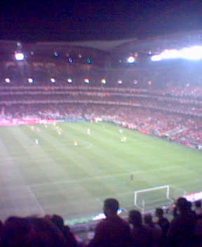 the large field of a soccer stadium with many people watching