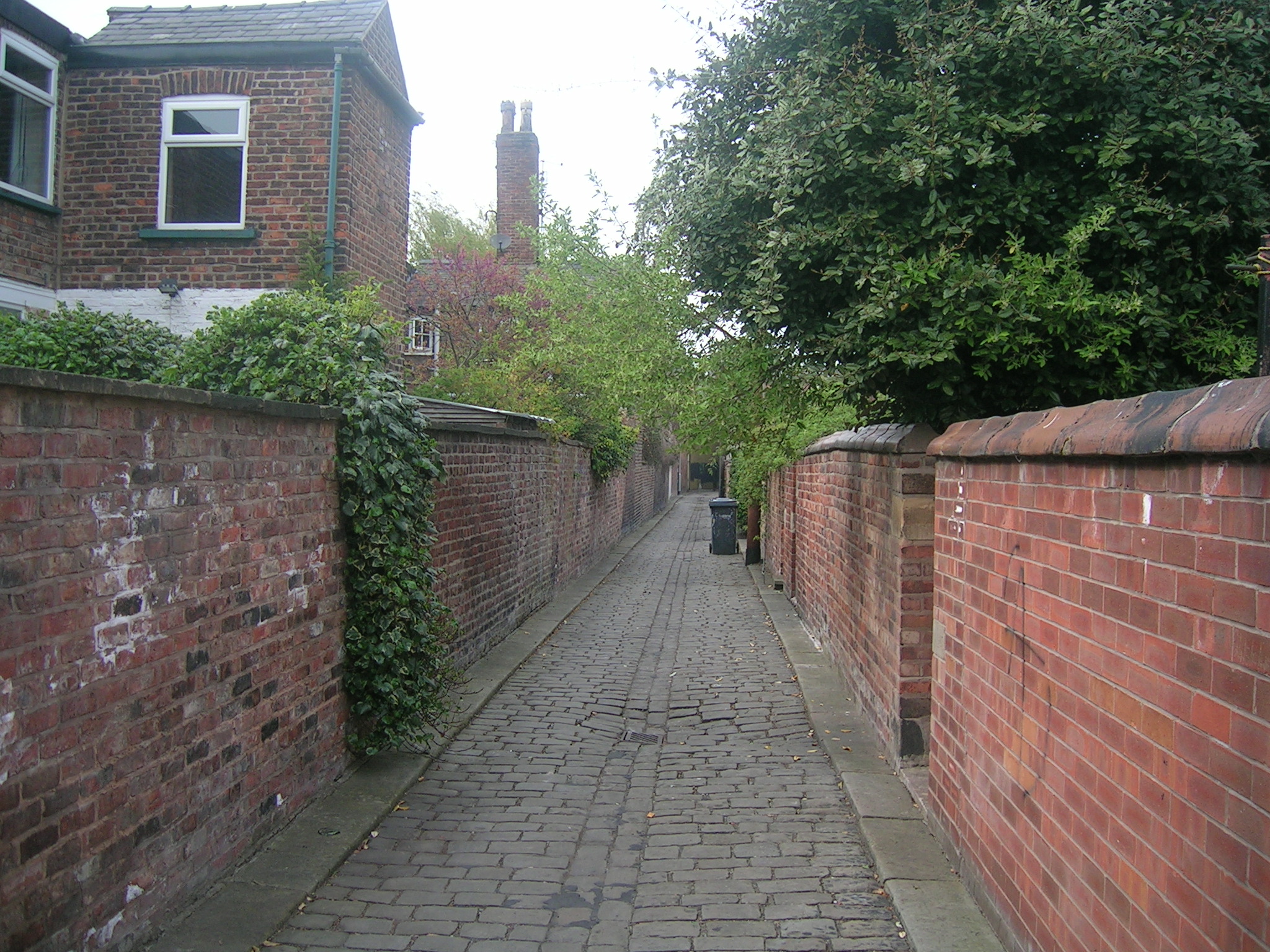 a brick path between two houses with hedges on either side