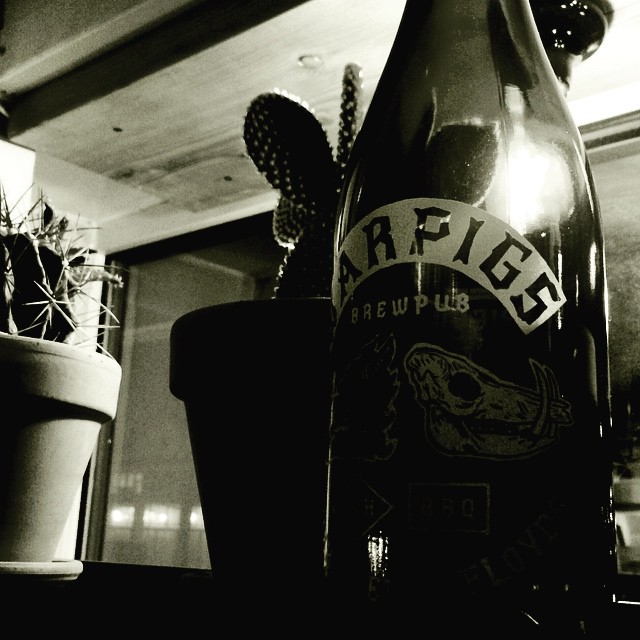 a bottle of beer and some cactus plants on a counter