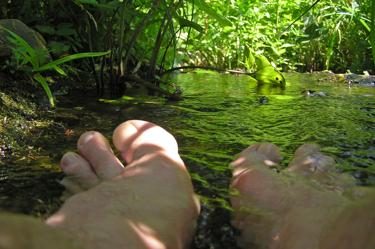 person relaxing on the grass with their feet in the water