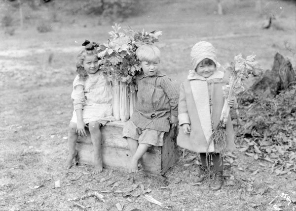 three children dressed in costumes sitting on an old crate