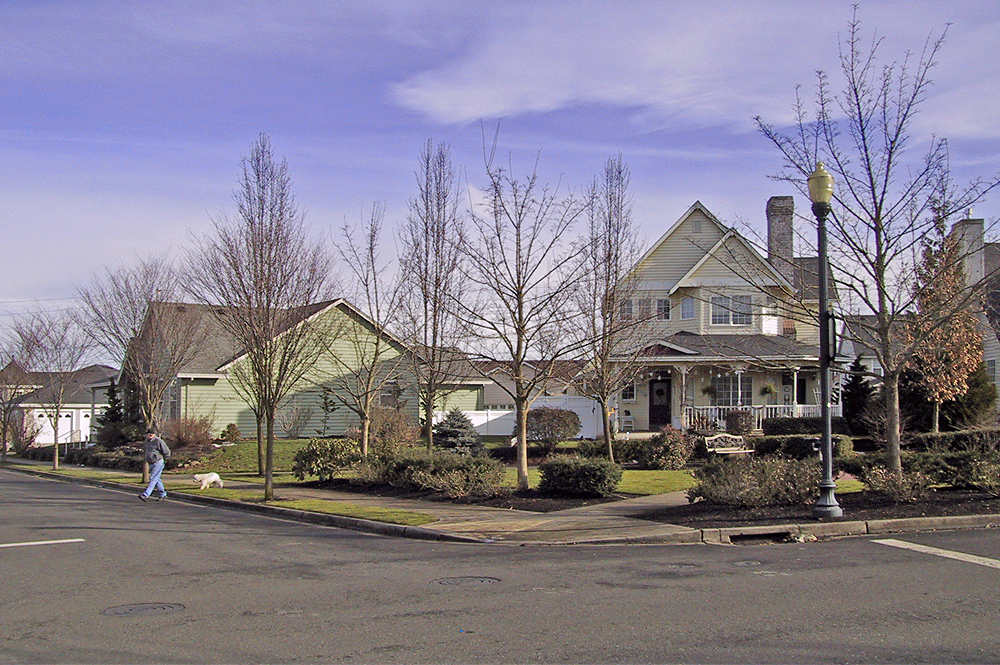 houses along a residential street in a neighborhood