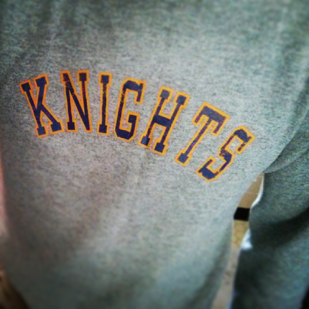 a sweatshirt has knights on it as it stands