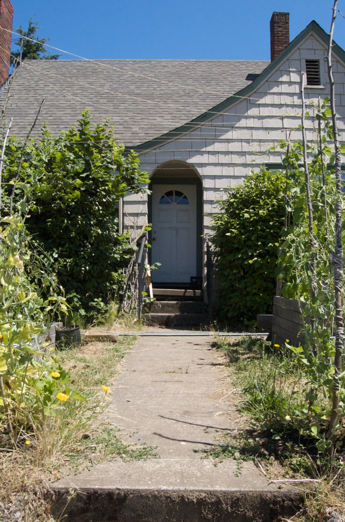 a wooden house with a white door and some bushes