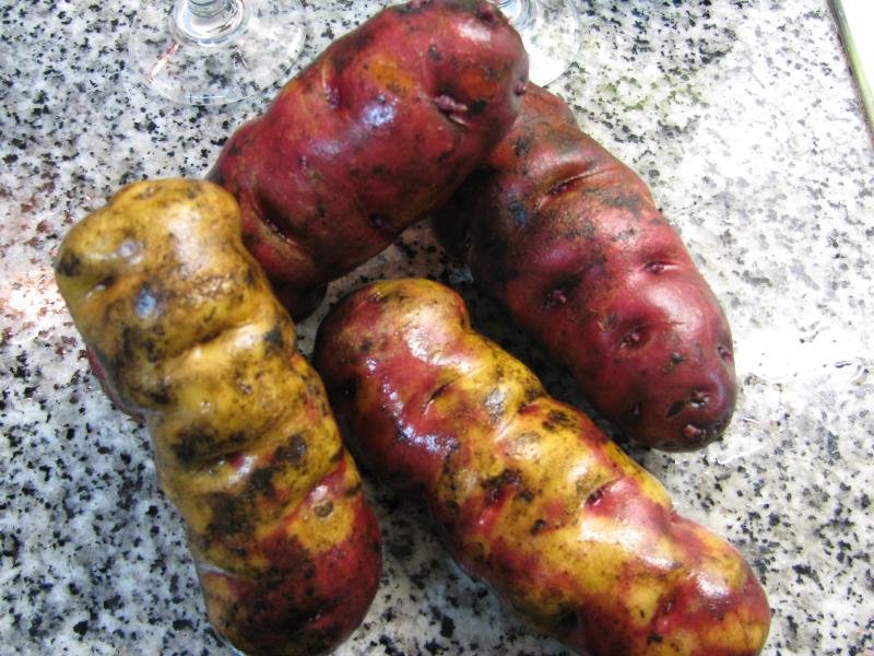 four pieces of the potato left to rot on a marble surface