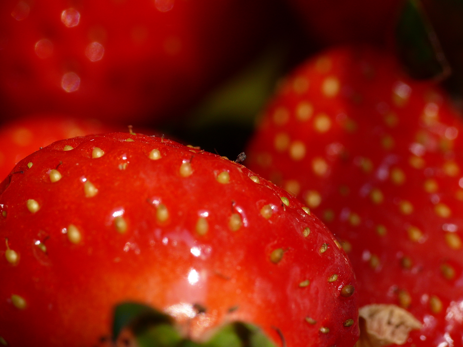 a close up image of the surface of a group of strawberrys