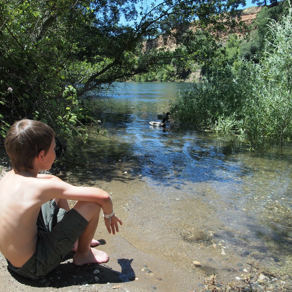 the child is sitting on the bank watching a duck in the water