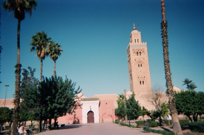 a po taken of a bell tower next to palm trees