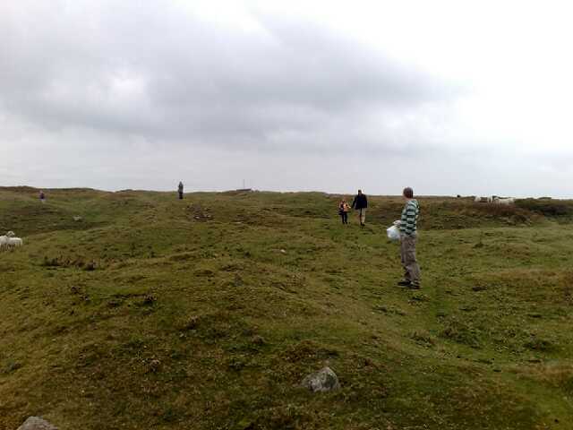 there are people on the hill looking at cows