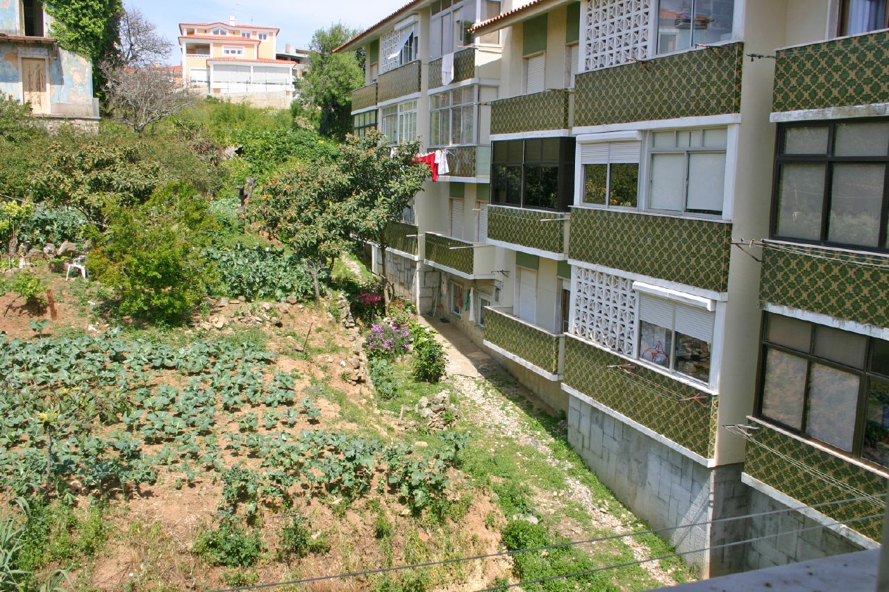 a row of apartment buildings in the city