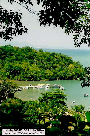 a green and blue water surrounded by lush trees