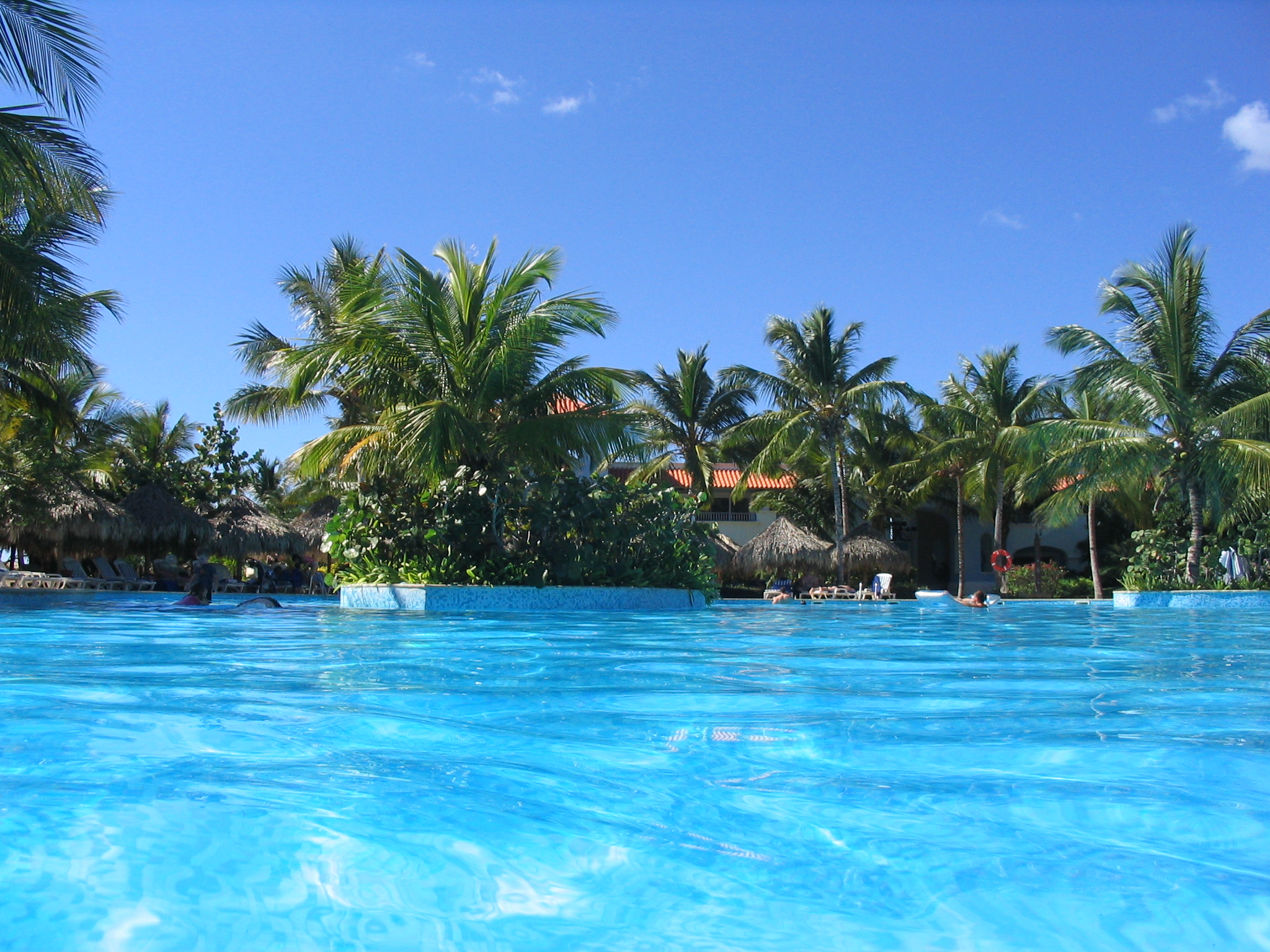 a swimming pool in a tropical area with palm trees