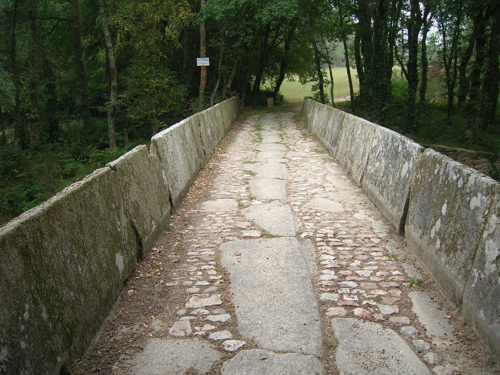 a stone walkway surrounded by trees lined with stones