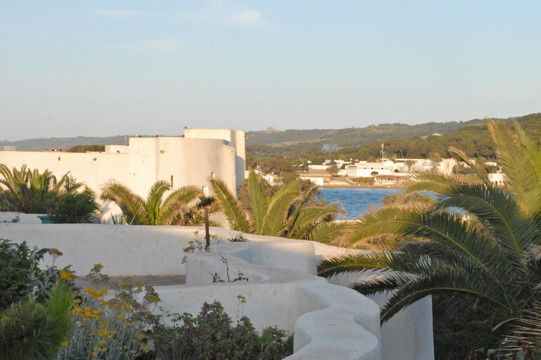 a white building overlooking a body of water and palm trees