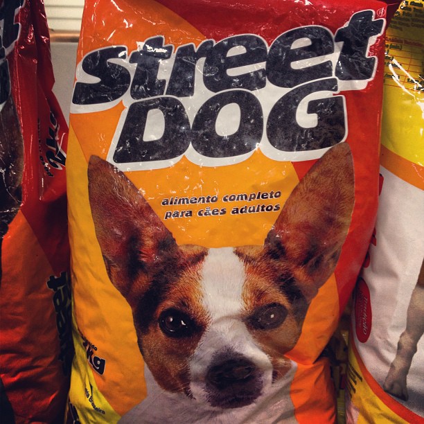 a dog looks up while sitting in a bag of street dog dog dog chow