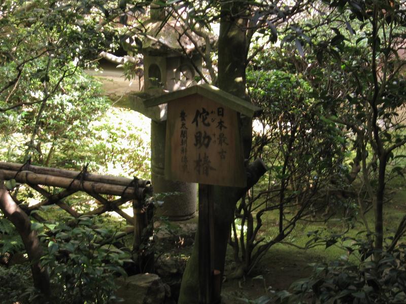a sign is shown in front of a bunch of trees