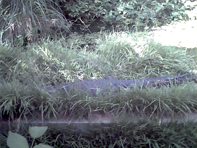 close up of a bench in a grassy area