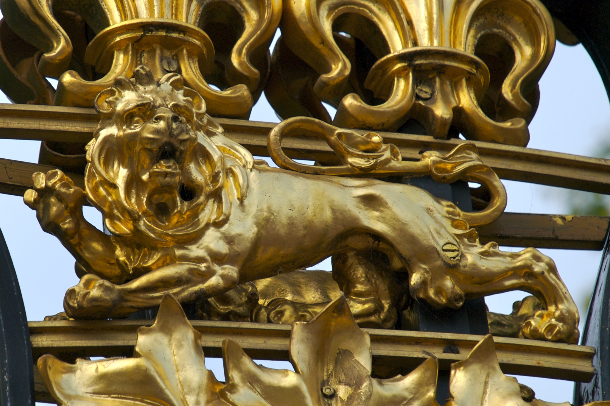the golden lion statue is mounted on the wall