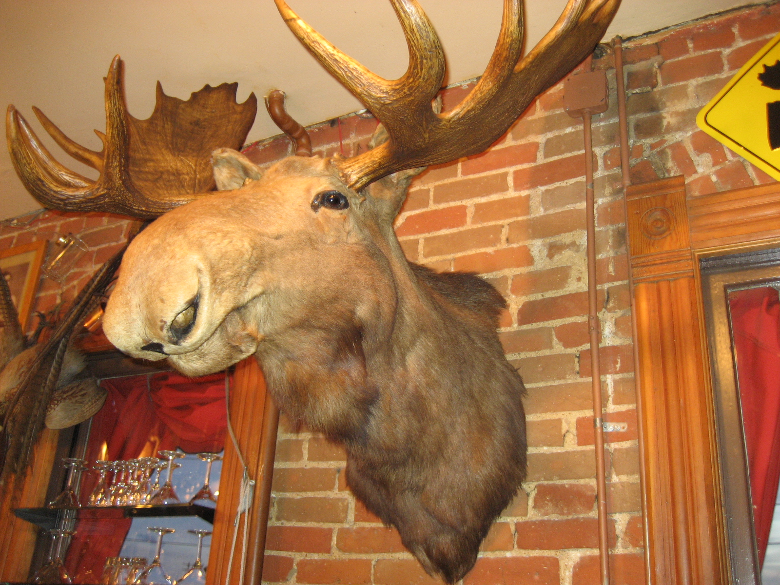 a moose head mounted to a brick wall