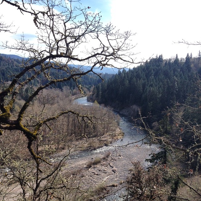 looking down from a forested hill at the river below