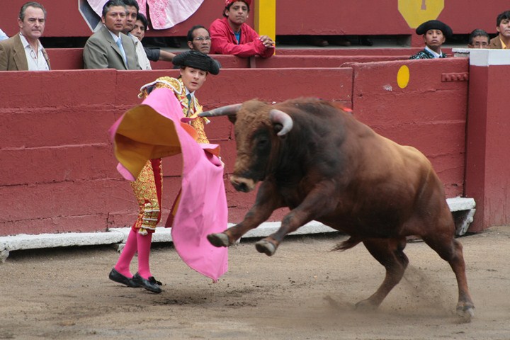 a man attempts to wrestle a bull in a corral