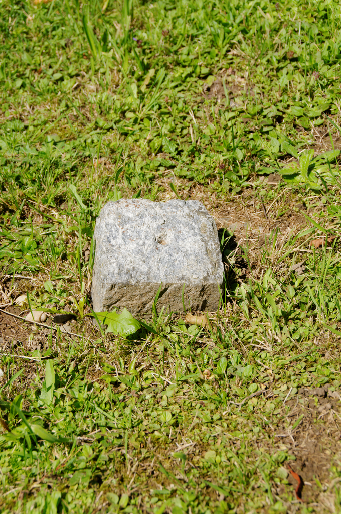 a rock sitting on top of a lush green field